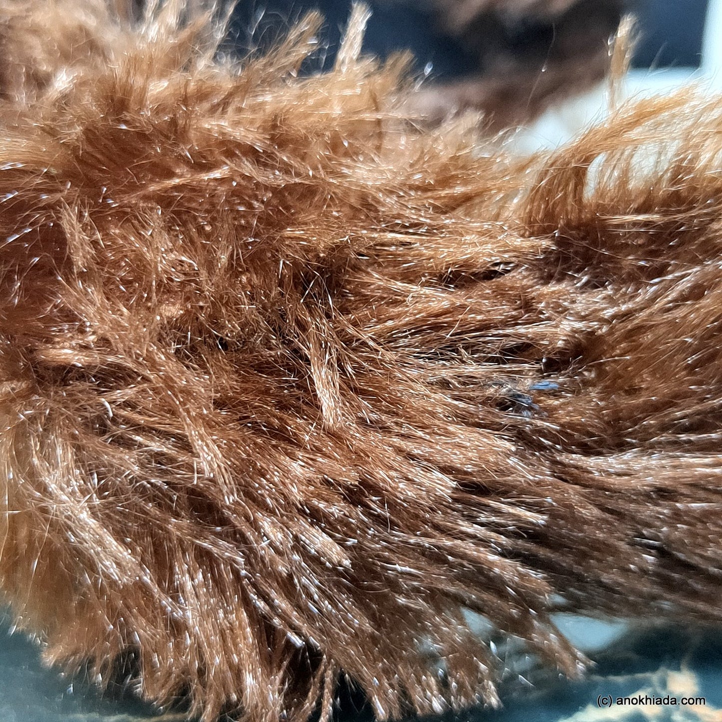 Anokhi Ada Handmade Brown Fur Fabric Knot Hairband/Headband for Girls and Women -14-38H