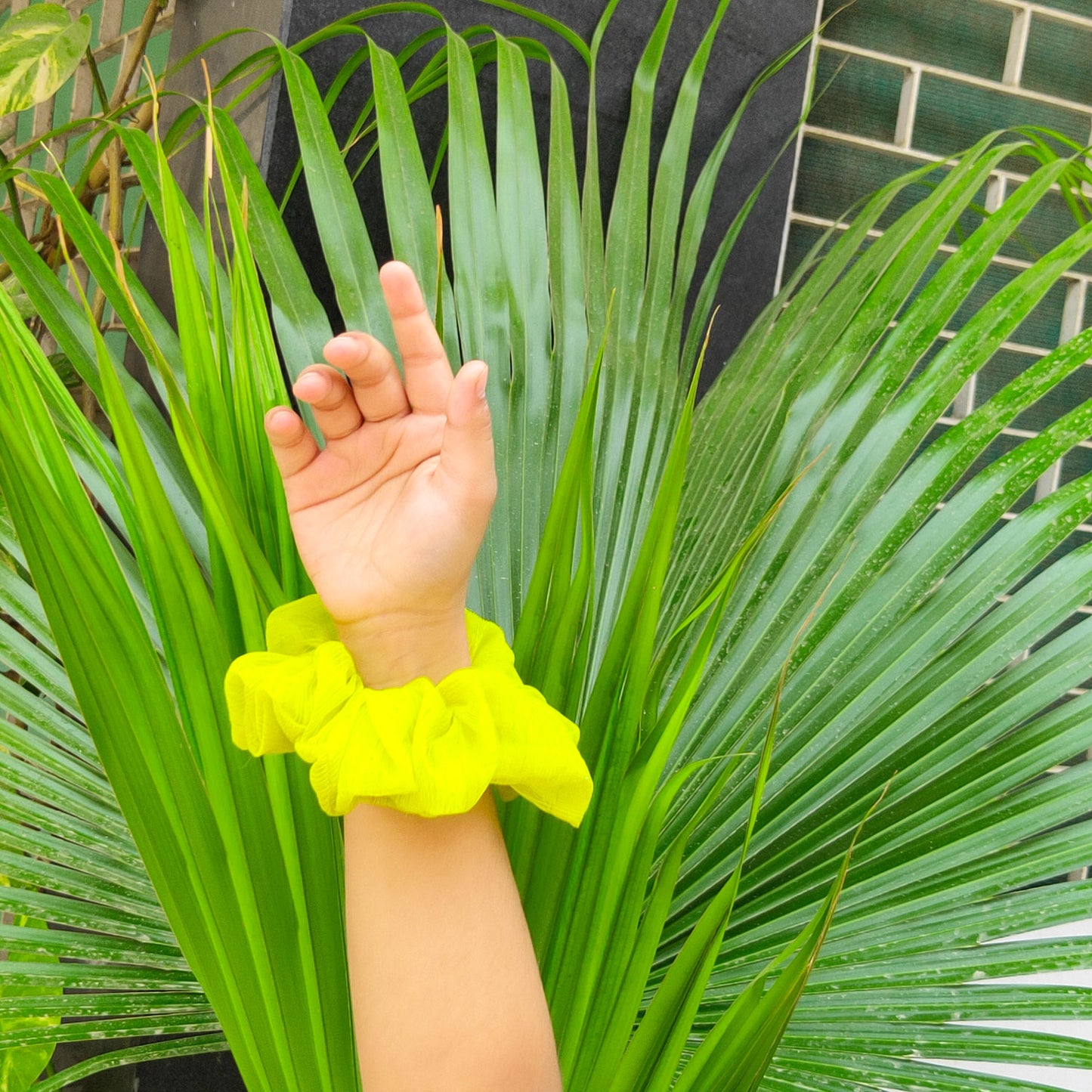 Limon Scrunchie (15-351 Scrunchie)
