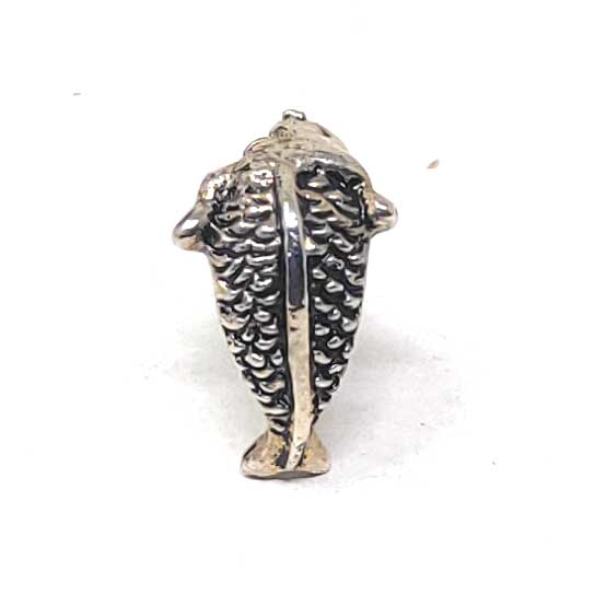 Anokhi Ada Metal J-Hoops Earrings for Girls and Women (Silver)-AG-23