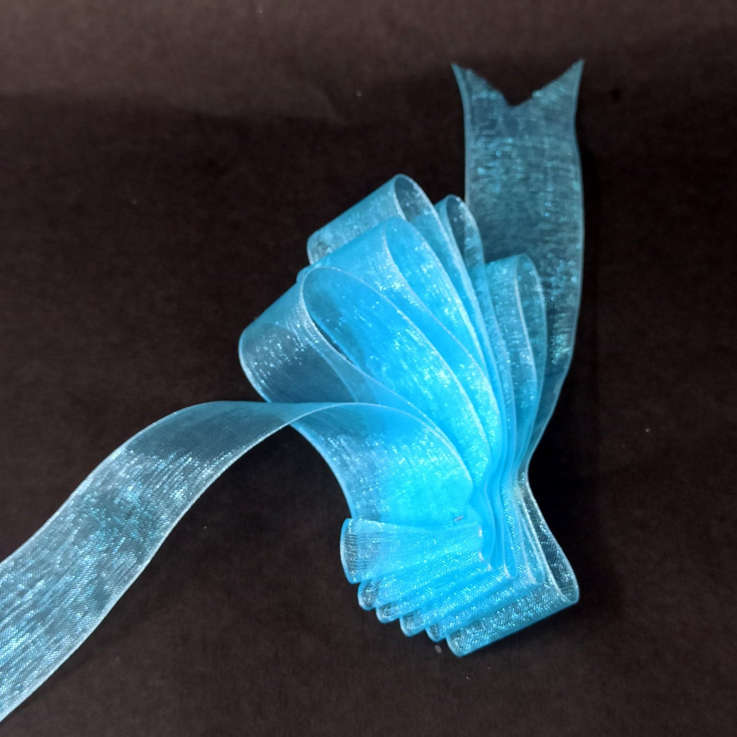 Anokhi Ada 25mm (1 inch) Sky Blue Organza Ribbon (Ribbon-057)