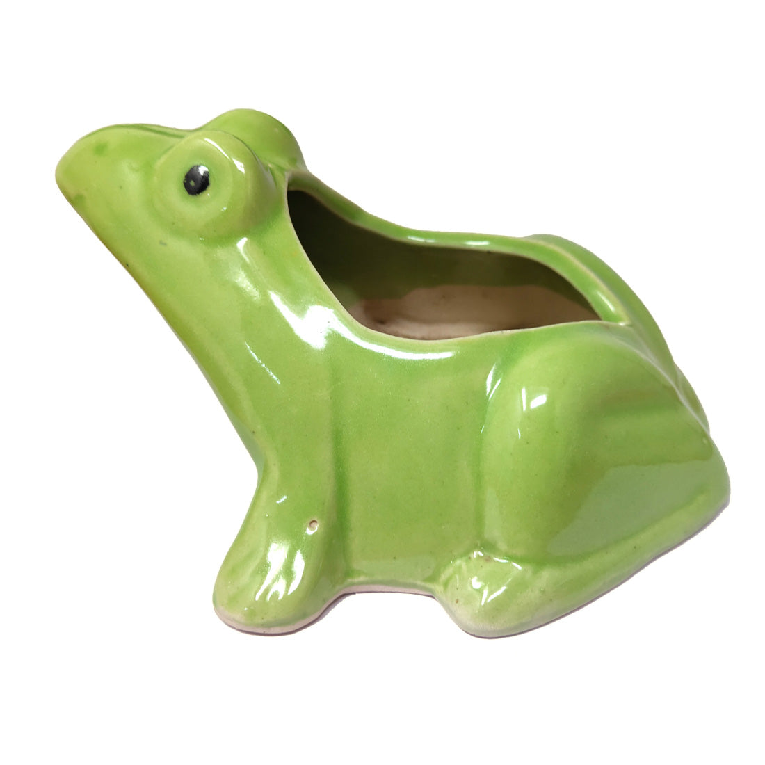 Anokhi Ada Frog Design Ceramic Planters Pots for Home Decoration ( Green, DA-006)